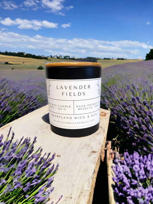 Lavender Fields